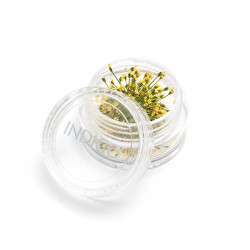 Fleurs Séchées Jaune