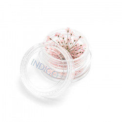 Gedroogde Bloemen Roze