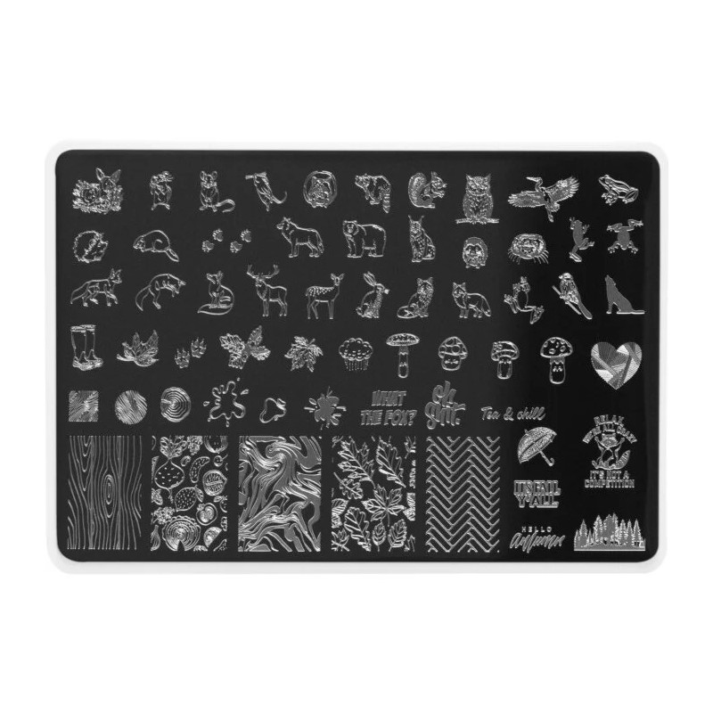 Autumn 2 Indigo Stamping Plate