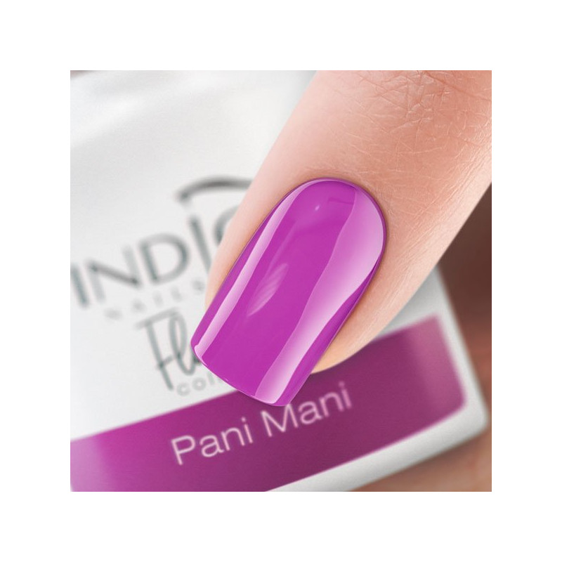  Pani Mani Gel Polish 